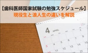 【歯科医師国家試験の勉強スケジュール】現役生と浪人生の違いを解説