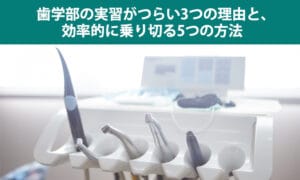 歯学部の実習がつらい3つの理由と､効率的に乗り切る5つの方法