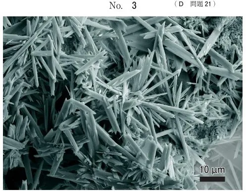 歯科医師国家試験 BK08474.jpg