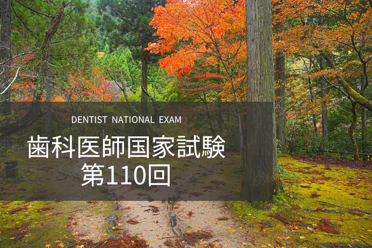 第110回-歯科国家試験画像
